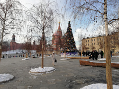 Москва в Рождественском сиянии     3 дня 